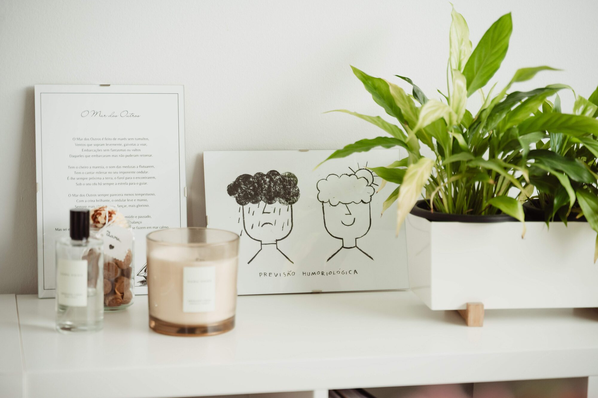 Estante com plantas, uma vela e ilustrações no espaço do Desenvolver+
